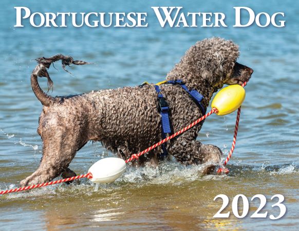 2023 Nutmeg Calendar